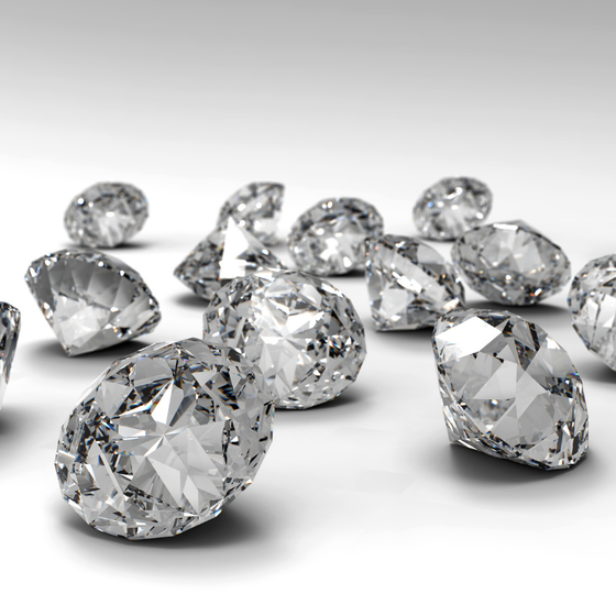 EXCLUSIVE BRAND COLLECTIONS